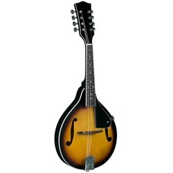 Flat Electroacoustic Mandolin