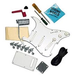Electric Guitar Fittings & Parts