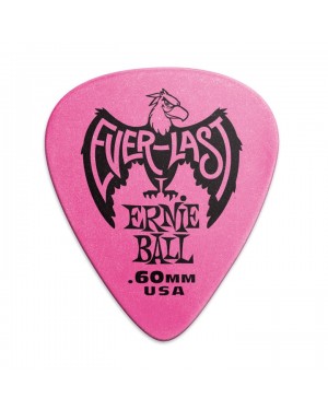 Ernie Ball -