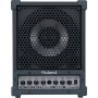 Roland CUBE CM-30 30 Watt Monitor Speaker