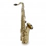 SOUNDSATION STNSX-20 Tenor Bb & Case Saxophone