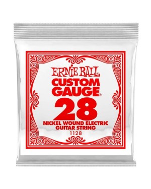 Ernie Ball -