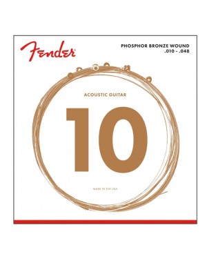 Fender -