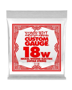 Ernie Ball -