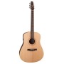 Seagull Walnut Natural ISYS Electric - Acoustic Guitar