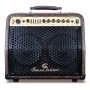 SOUNDSATION Tumbleweed 30DC 30 Watt Ενισχυτής κιθάρας