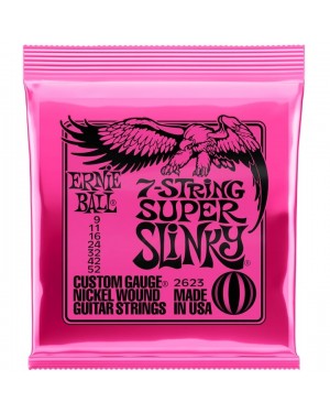 Ernie Ball -