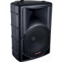 SELENIUM SPM-1202 Black 300 Watt RMS Passive Speaker