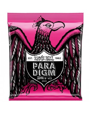 Ernie Ball -