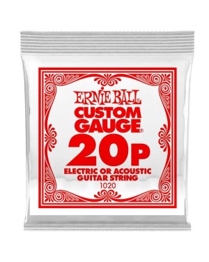 Ernie Ball -