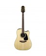 Takamine -