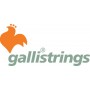 Galli G065 Electric Bass String