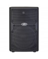 PEAVEY -