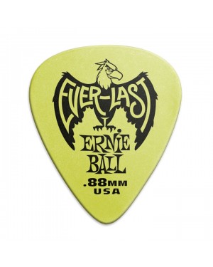 Ernie Ball -