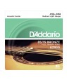 D'Addario -