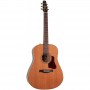 Seagull Coastline Momentum AE Electric - Acoustic Guitar