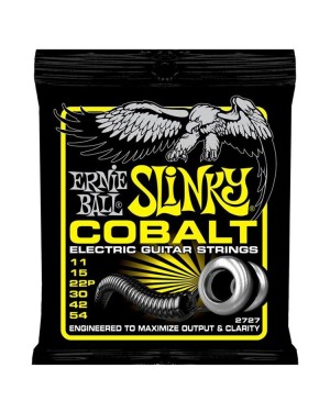 Ernie Ball -