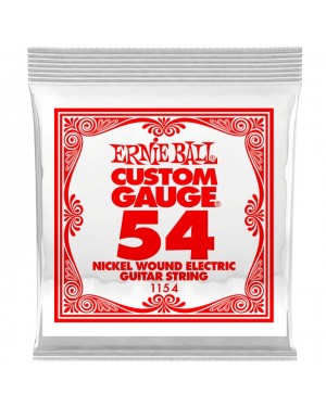 Ernie Ball -