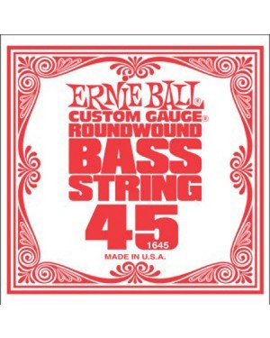 Ernie Ball -