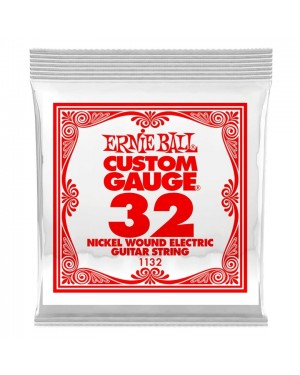 Ernie Ball -