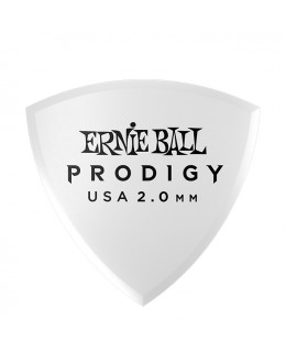 Ernie Ball -