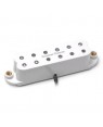 Seymour Duncan -