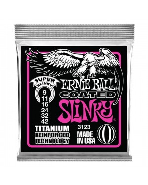 Ernie Ball -