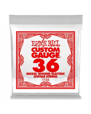 Ernie Ball -