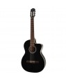 Takamine -