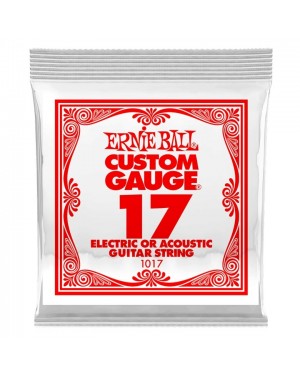 Ernie Ball -