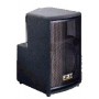 FBT LF-40AM -L 150 Watt RMS Active Speaker