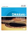 D'Addario -