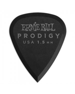 Ernie Ball -