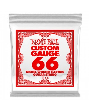 Ernie Ball -