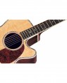 Takamine -