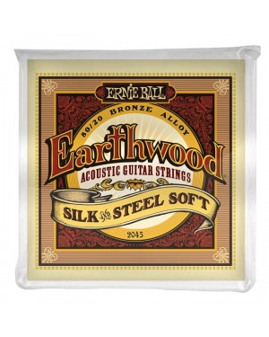 Ernie Ball -