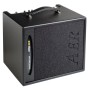 AER Amp One - 200 Watt Bass Guitar Amplifier