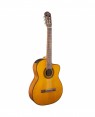 Takamine -