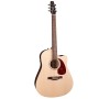 Seagull Coastline Slim CW Spruce QIT Electric - Acoustic Guitar