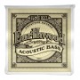 Ernie Ball 2070 Earthwood Phosphor Bronze 045-095 Σετ 4 χορδές ακουστικού μπάσου