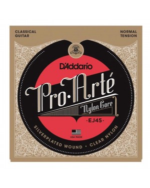 D'Addario -