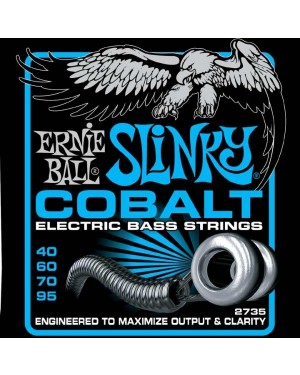 Ernie Ball -