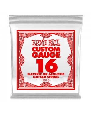 Ernie Ball -