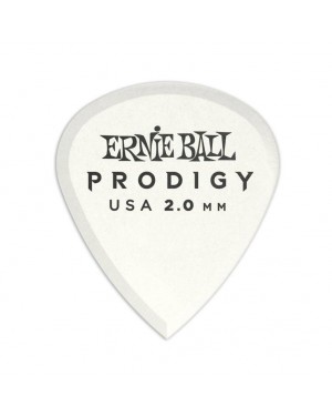 Ernie Ball -