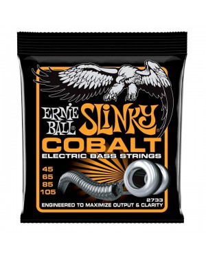 Ernie Ball -