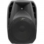 PEAVEY PBK 15 - 560 Watt RMS Passive Speaker