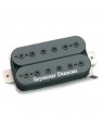 Seymour Duncan -