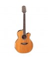 Takamine -