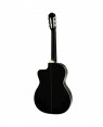 Takamine -