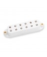 Seymour Duncan -